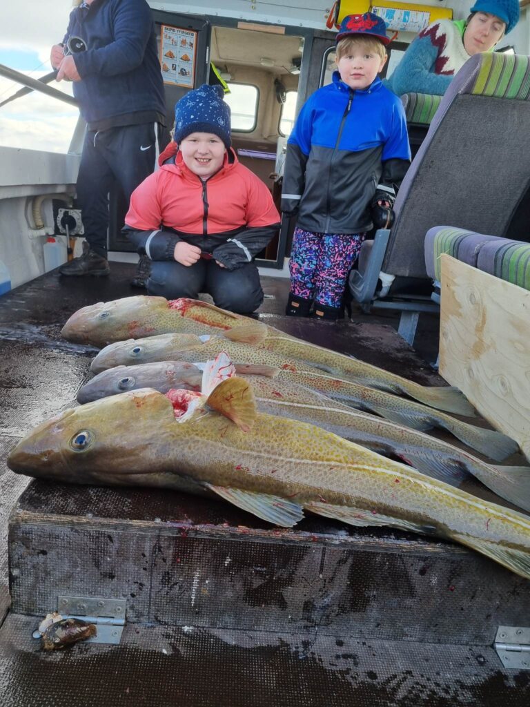 Why Iceland Is a Dream Destination for Birdwatchers and Anglers